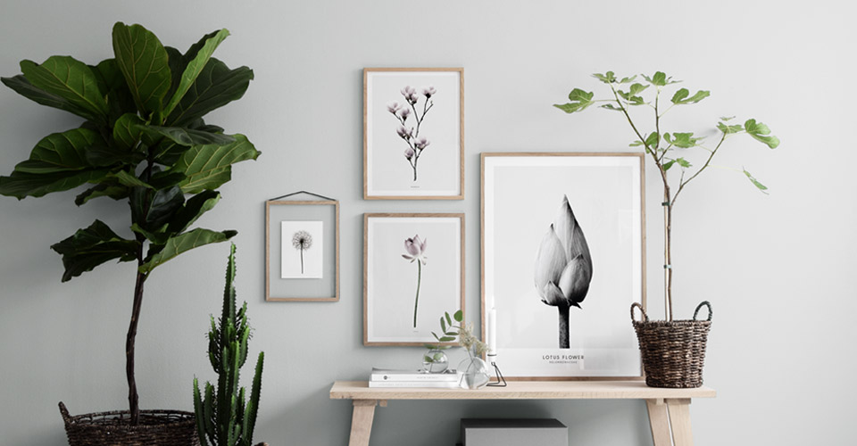 posters-botanical